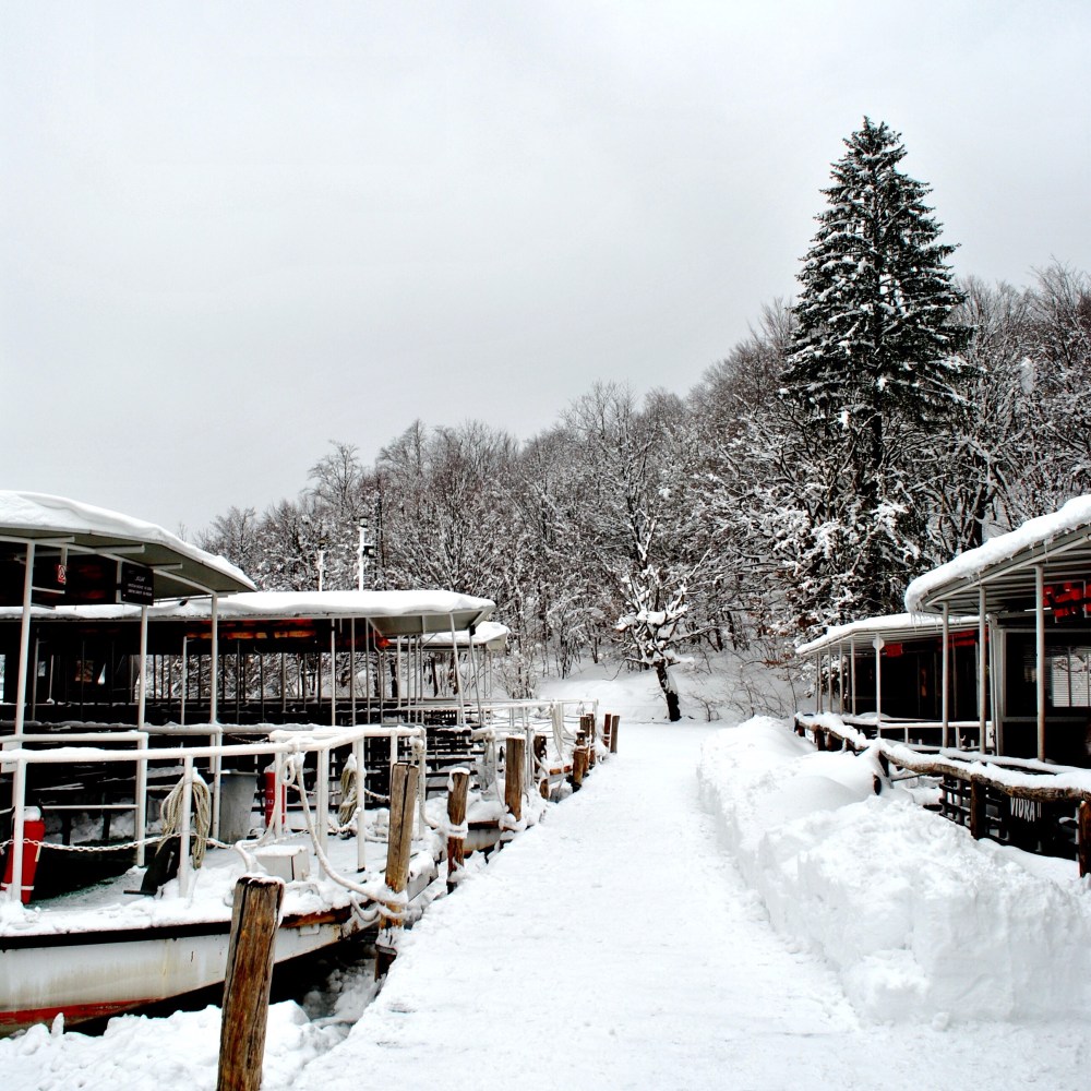 43A84AB8-1B4C-4856-B4B9-27AB6442CAB0