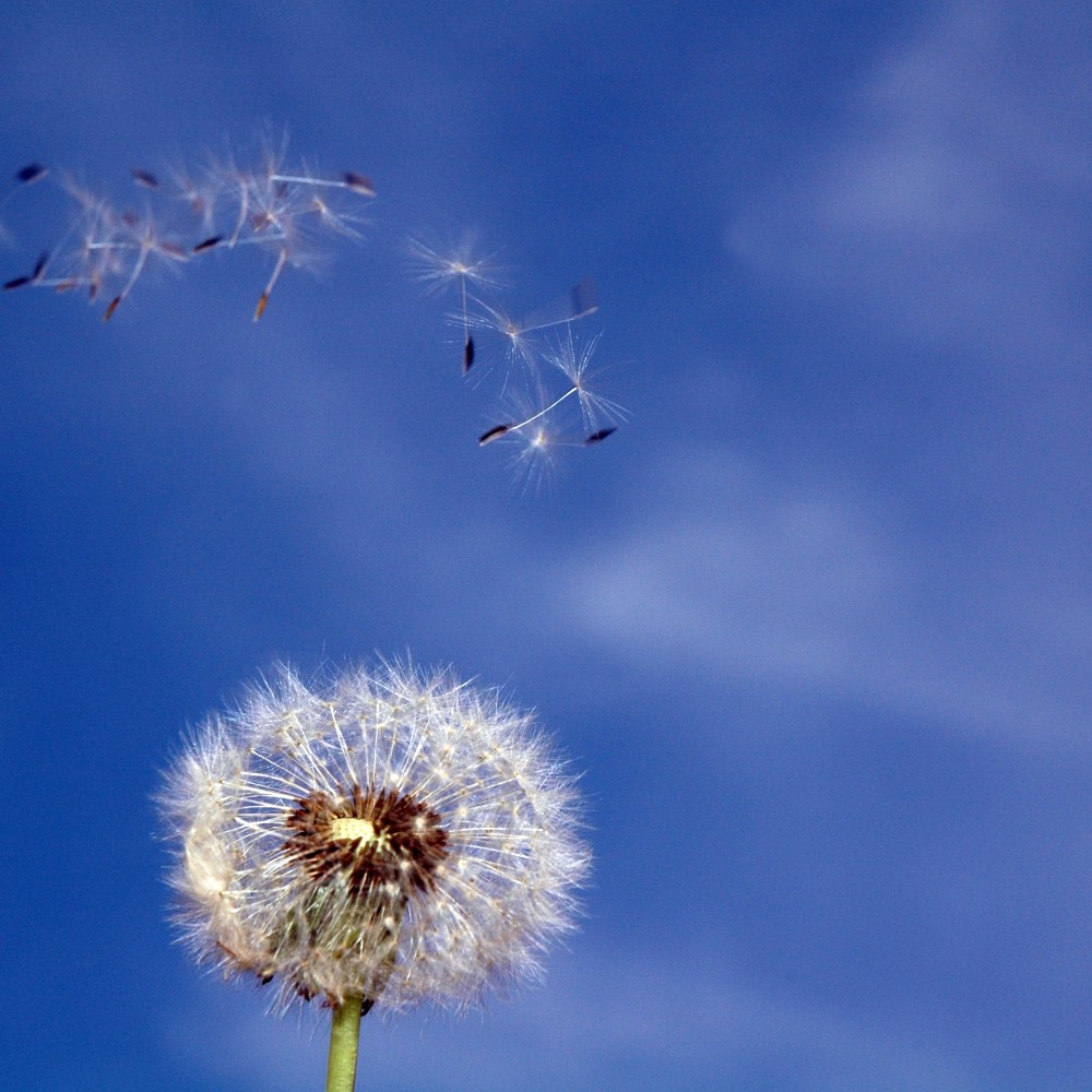 pitat će te starost 04