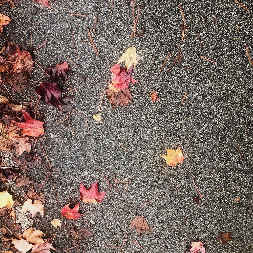 8FD75BA5-060E-4518-960B-DE722FAF1CE5